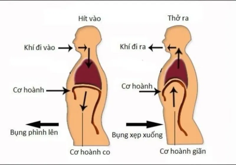 cách hít thở khi đạp xe