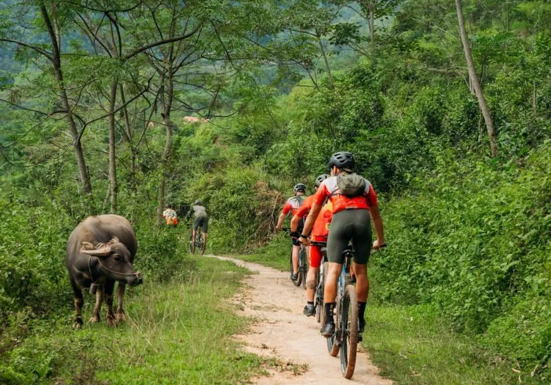 Giải đua xe đạp địa hình