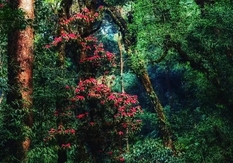 leo núi miền bắc