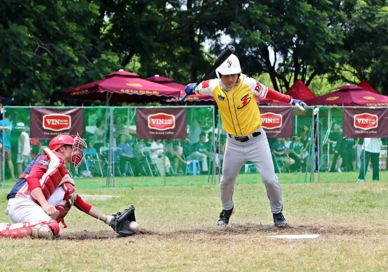 bóng chày Việt Nam 